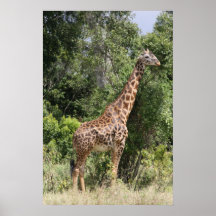 giraffe high print