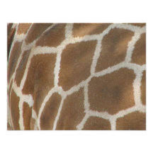 Giraffe Invitation