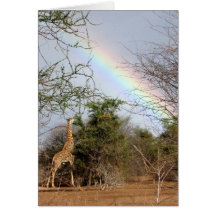 Giraffe & Rainbow Card
