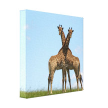 Giraffe Twins Canvas Print