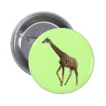 Giraffes and trees,长颈鹿. Wild animal zoo photograph Buttons