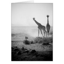 Giraffes Card