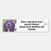 Give a big black dog a second chance... bumper stickers