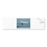 Gliding in Rio de Janeiro bumper stickers