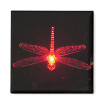 Glowing Dragonfly Refrigerator Magnets