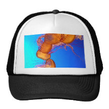 Glowing Jellyfish in Blue Water Hats