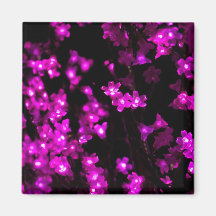 Glowing Pink Flower Lights Fridge Magnets
