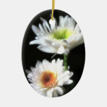 Glowing White Chrysanthemums 3 Ornament