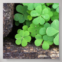 Go Green! Print