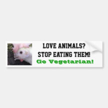 Go Vegetarian Hen Bumper Sticker