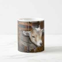 Goat coffee or tea? coffee mugs