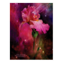 Goddess Of The Devine Postcard