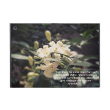 God's Plans iPad Mini Cases For iPad Mini
