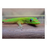 Gold Dust Day Gecko Card