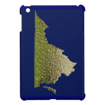 Gold effect Virginia state outline ipad cover Cover For The iPad Mini