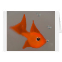 gold fish greeting cards