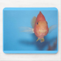gold fish mousepad