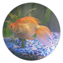 Gold Fish Plate