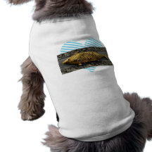 Gold Fish Statue Pet Tee Shirt