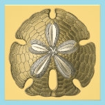 Gold Sand Dollar Invitation invitations