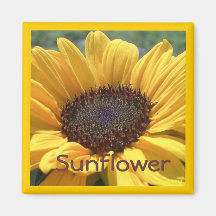 Gold Sunflower Magnet