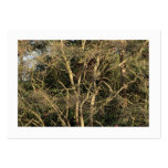 Golden Branches (Bordered) Business Card Templates