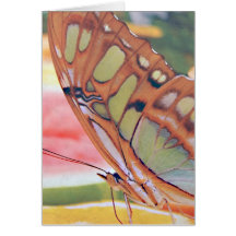 Golden Butterfly Painting Greeting Cards
