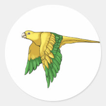 Golden Conure Products Sticker