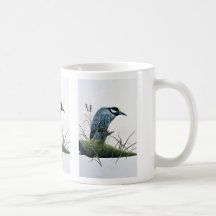 Golden-crowned night heron mug