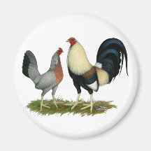 Golden Duckwing Chickens Magnet