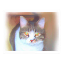 Golden Eyes postcard