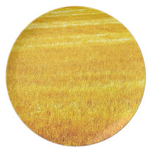 Golden Field of Grain Party Plates