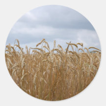 Golden fields stickers