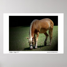 Golden Horse Print