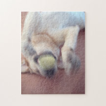 golden labrador retriever jigsaw puzzle