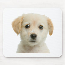 Golden Labrador Retriever Puppy Mouse Pads