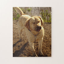 golden labrador retriever puzzles