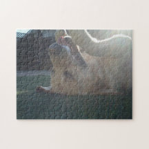golden labrador retriever puzzles