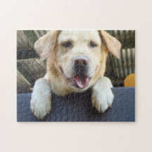 golden labrador retriever puzzles