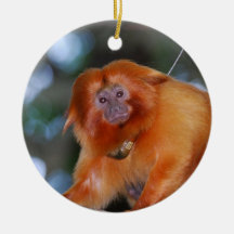 Golden Lion Tamarin Ornament