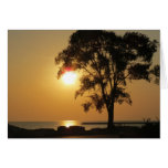 Golden Morning Greeting Cards