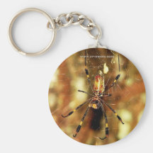 Golden Orb Spider Isla Barro Colorado, Panama Key Chain