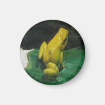 Golden Poison Dart Frog Magnet