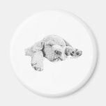 Golden Puppy Refrigerator Magnet