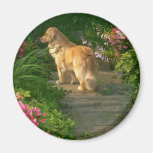 Golden Retriever Garden Magnet