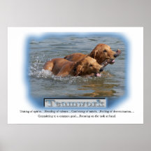 Golden Retriever Gifts Print