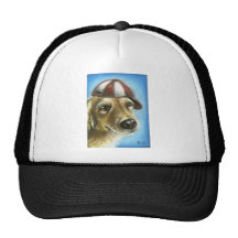 Golden retriever hats