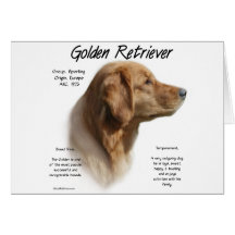 Golden Retriever History Design Greeting Cards