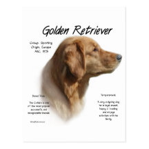 Golden Retriever History Design Postcard
