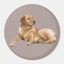 Golden Retriever Magnet